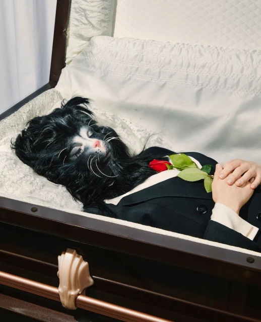 Person with cat face makeup in a casket wearing a tuxedo and holding a red rose, lying on a white satin pillow.