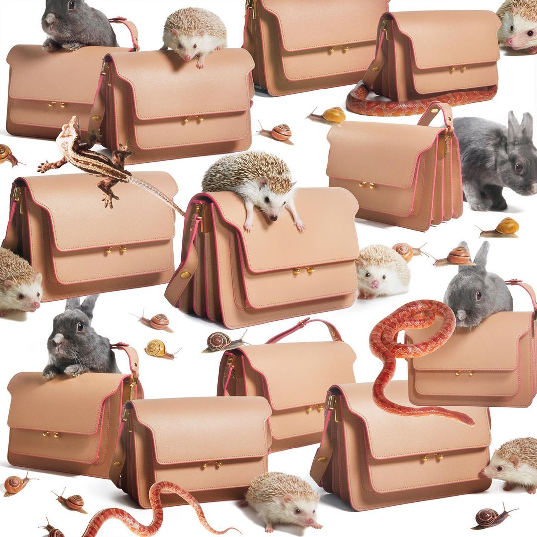 Eye-level shot of handbags surrounded by rabbits, snakes, hedgehogs, snails, and a lizard on white background, in studio lighting.