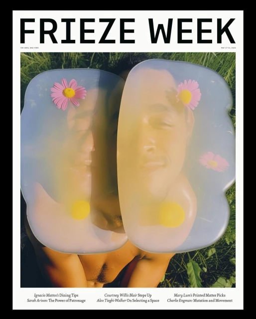 Magazine cover featuring a partially nude adult male face distorted by a pale blue material, accessorized with pink flowers, on a grassy background.