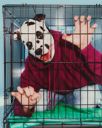 Person in a dog mask inside a black metal cage, wearing a maroon hoodie and blue jeans against a light blue background.