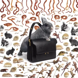 Grey rabbit posing on a structured black handbag amidst a collage of snakes, hedgehogs, and lizards on white.
