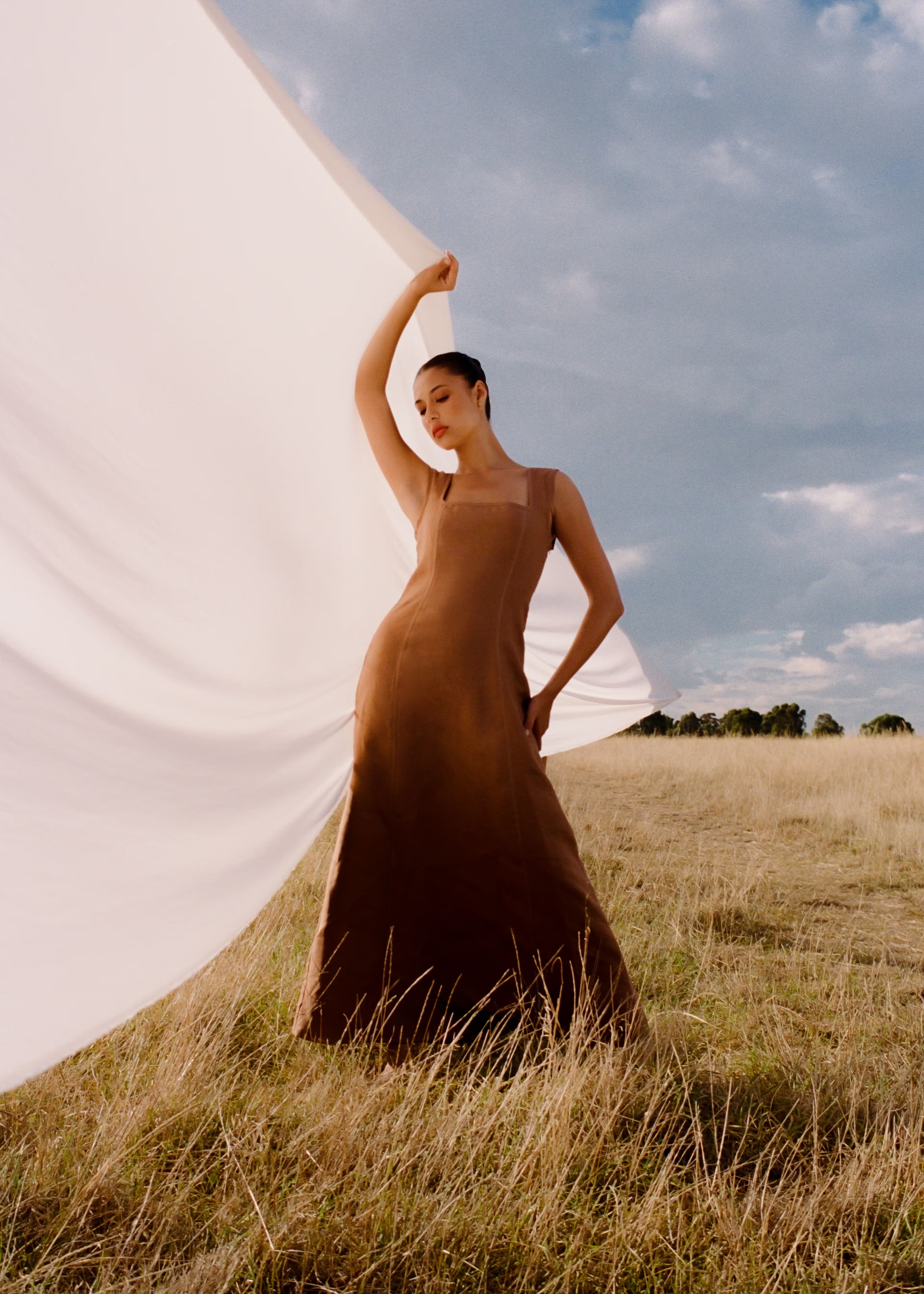 Woman in brown dress poses with white fabric in a grassy field beneath a cloudy sky, creating an editorial fashion scene.