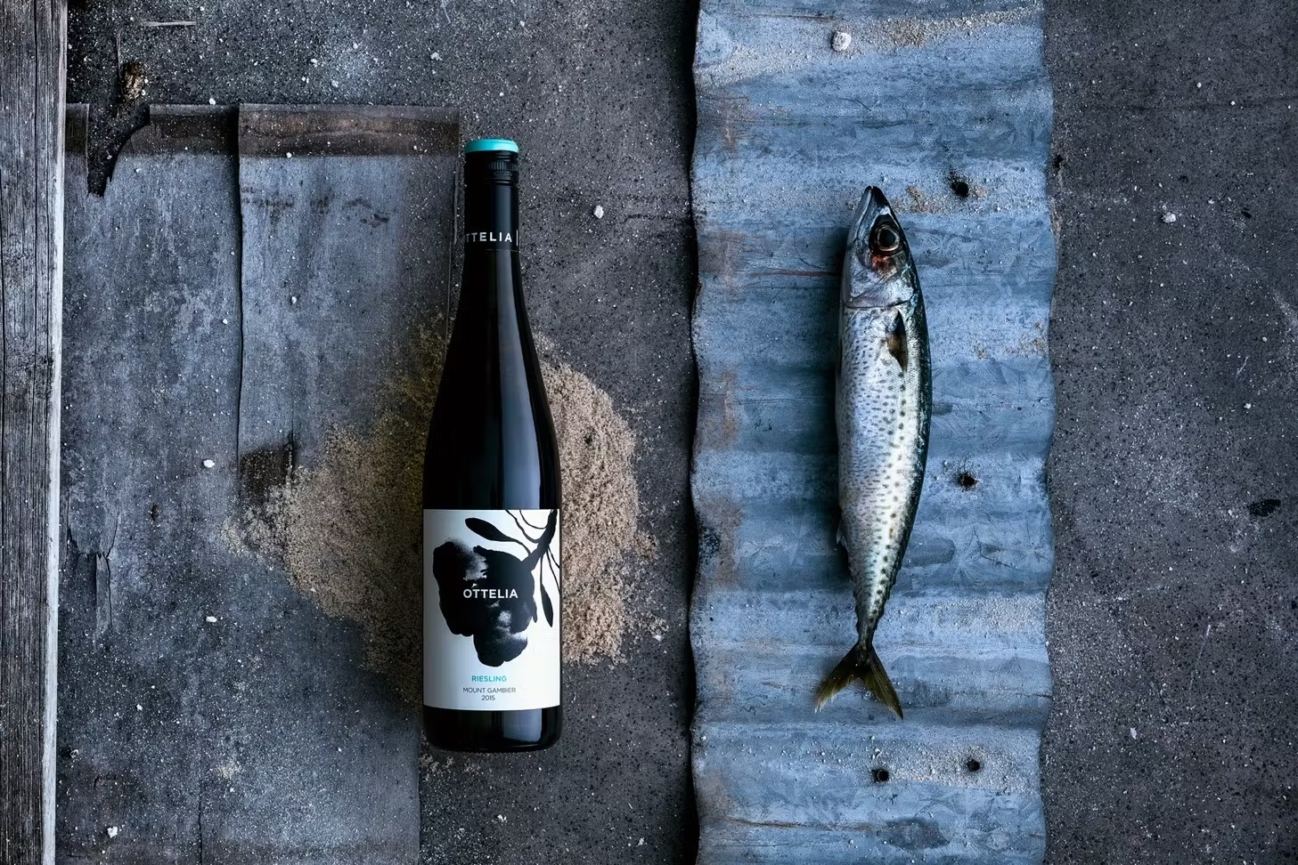 Still life: a bottle of white wine next to a raw mackerel on a gray corrugated metal and wood surface, top-down angle, natural lighting.