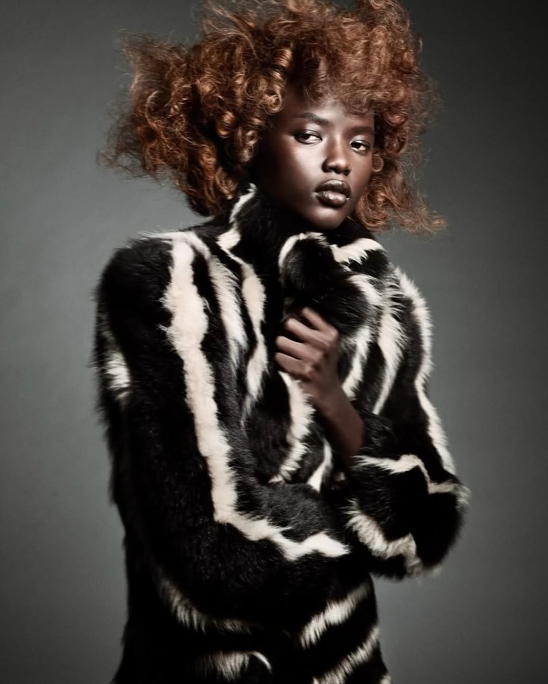 Fashionable woman with afro hairstyle in a zebra-striped faux fur coat poses against a grey background in a studio portrait.