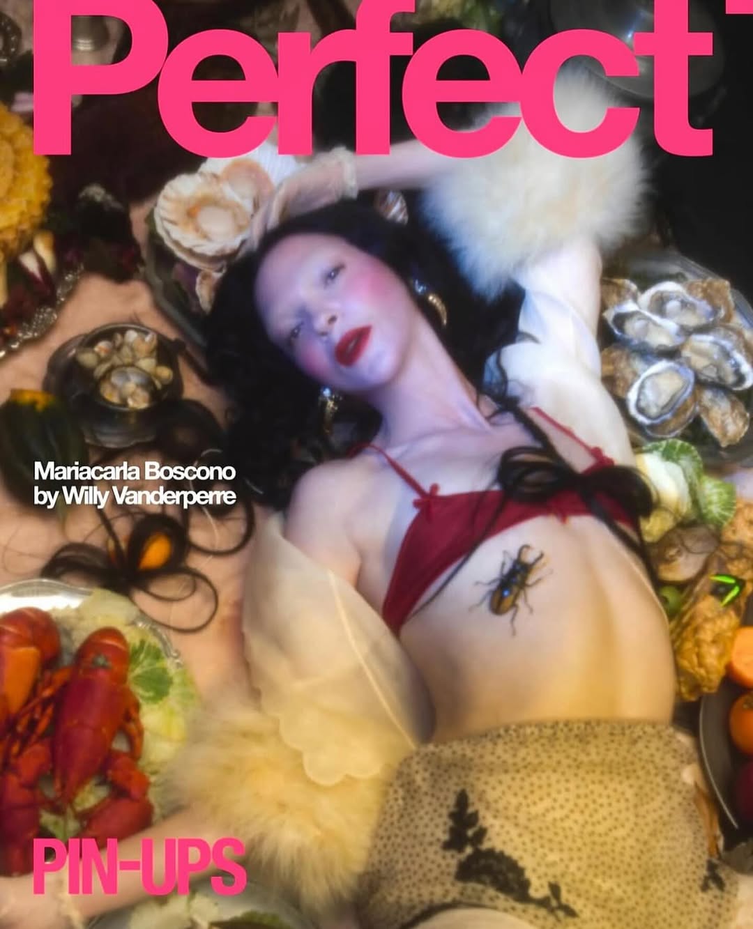 Magazine cover featuring a woman in lingerie surrounded by food, with 'Perfect?' in pink text, and 'Pinups' in smaller pink text.