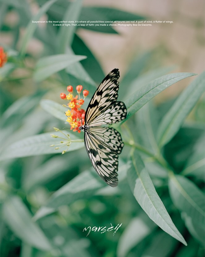 Monarch butterfly perched on a flower, showcasing intricate wing patterns against a soft green foliage background in a serene outdoor setting.