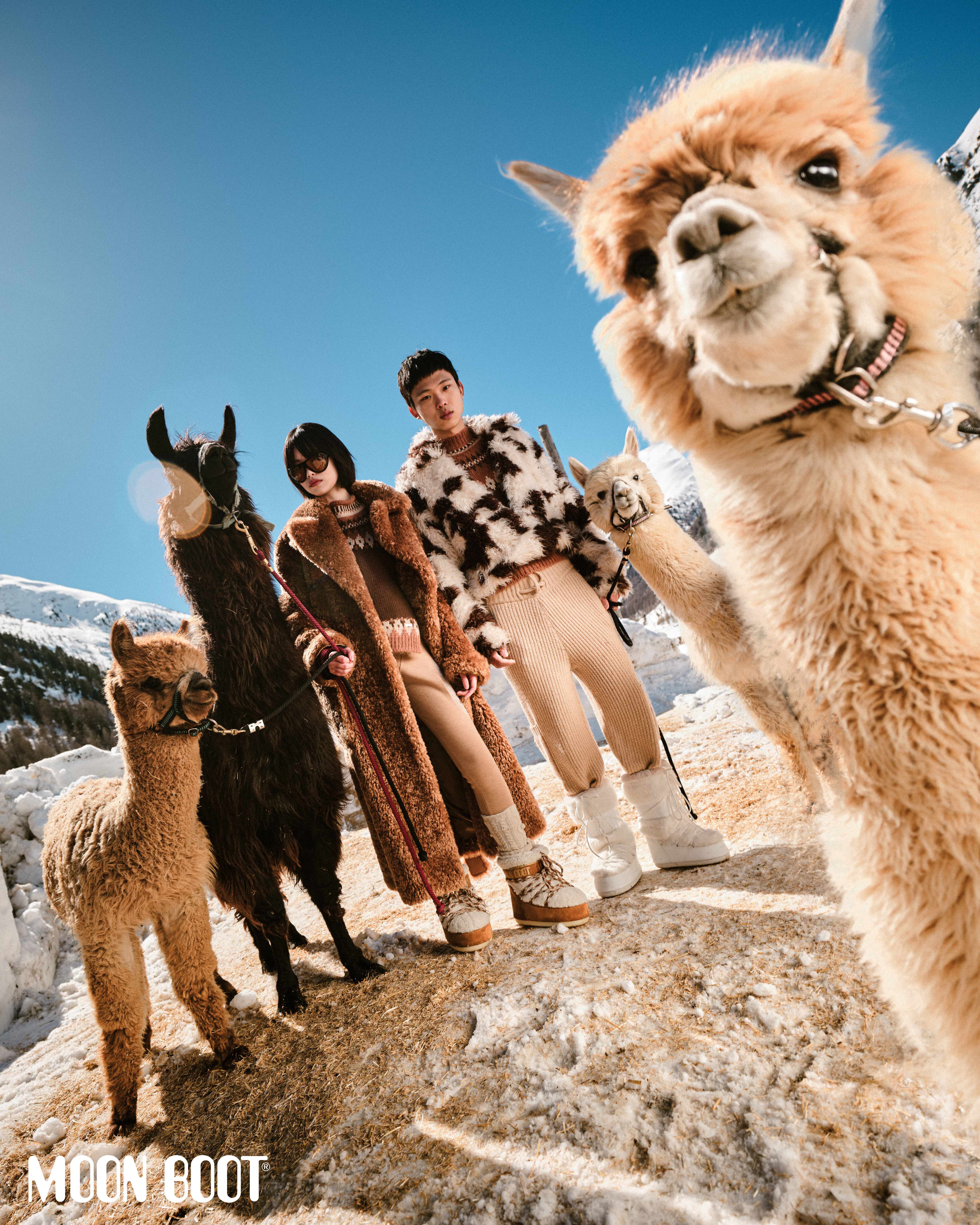 Two models pose with four llamas on a snow-covered hillside, with a low-angle view against a clear blue sky in winter fashion.
