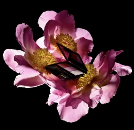 An open makeup palette nestled among vibrant pink peony flowers against a solid black background.