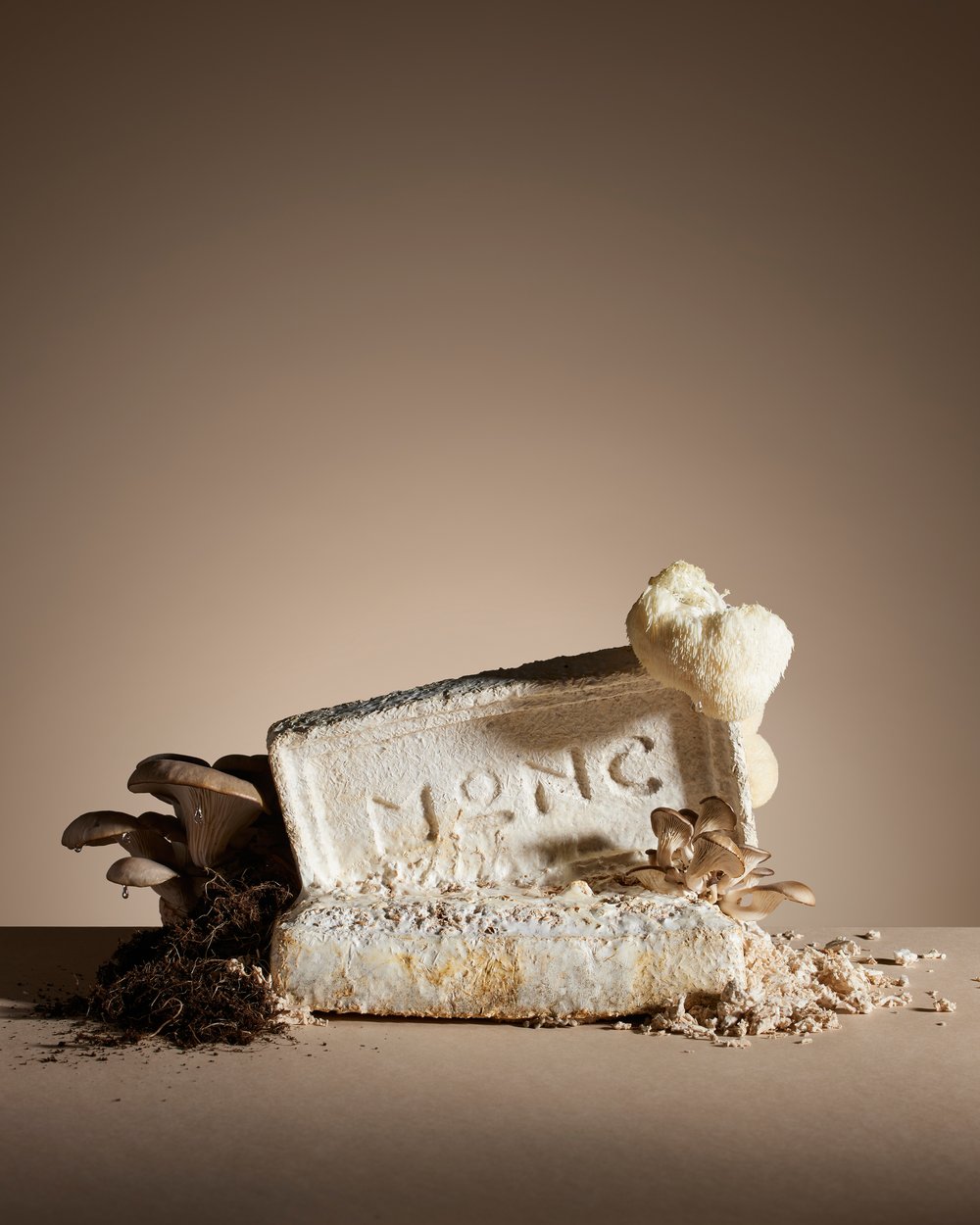 Still life of oyster and lion's mane mushrooms growing from a white substrate block on a beige surface against a muted background.