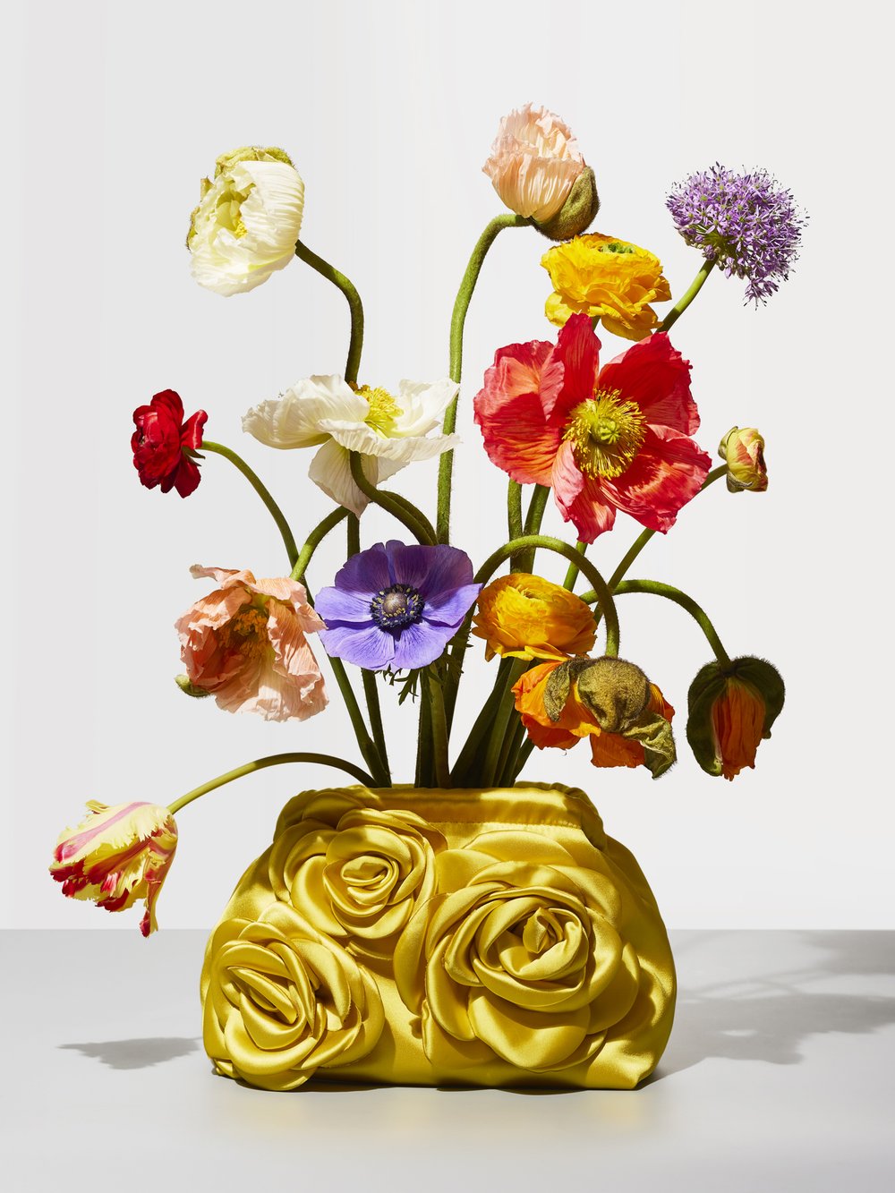 Still life of colorful poppy flowers arranged in a yellow vase with rose details against a white background, studio lighting.