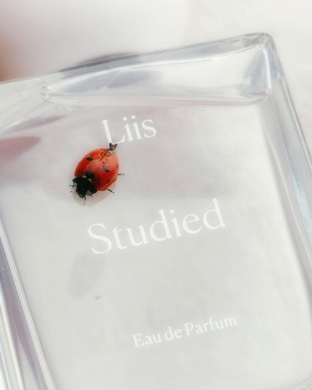 Close-up of a ladybug perched on a clear glass perfume bottle labeled 'Liis Studied Eau de Parfum,' set against a soft, blurred background.