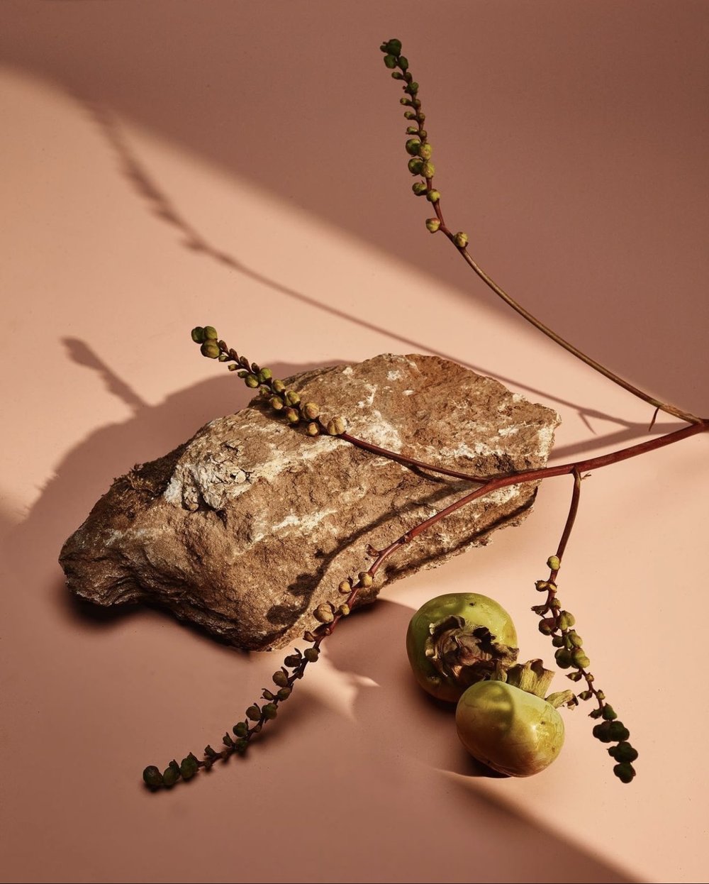 Still life featuring a textured rock, sprigs with budding leaves, and two green fruits against a soft pink background, casting shadows.