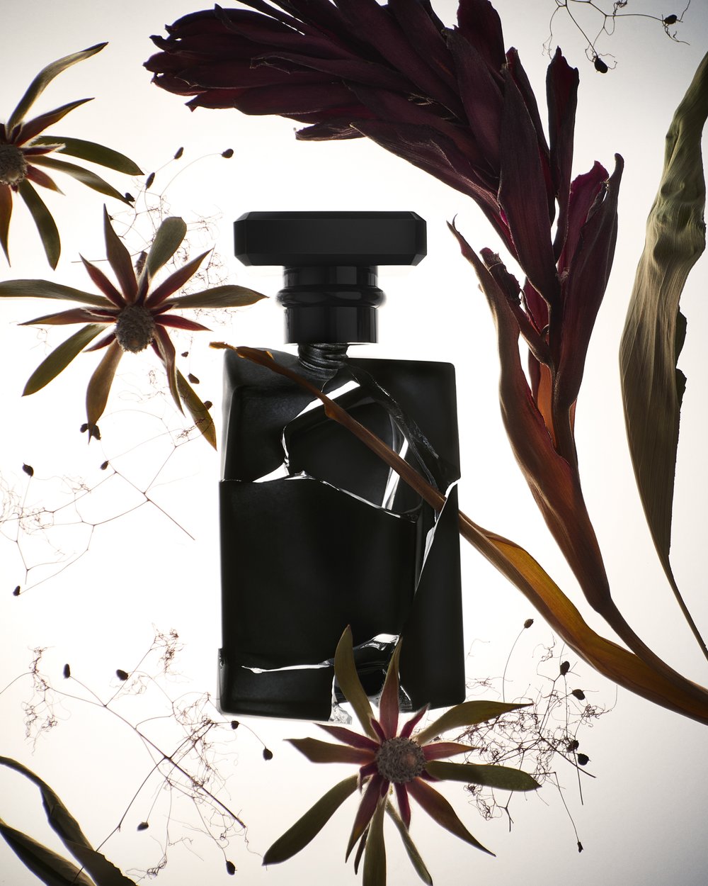 Angled close-up studio shot of a black perfume bottle surrounded by colorful dried flowers and delicate leafy vines against a gradient background.