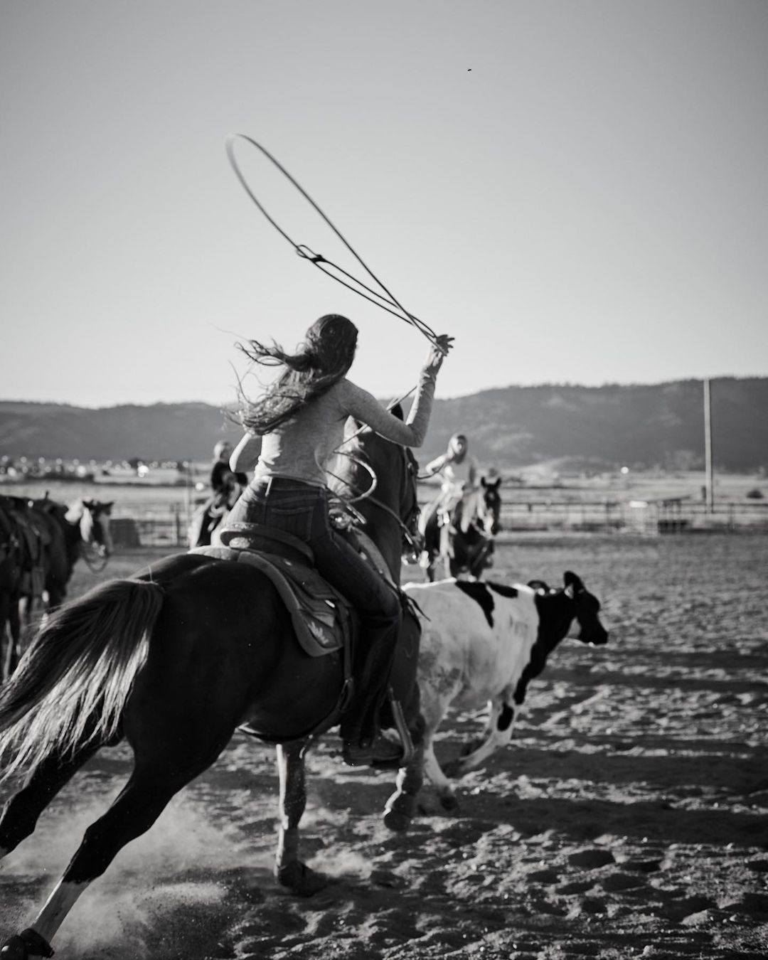 A woman on horseback throws a lasso in a monochrome outdoor rodeo scene, pursuing a cow with a crowd and landscape in the background.