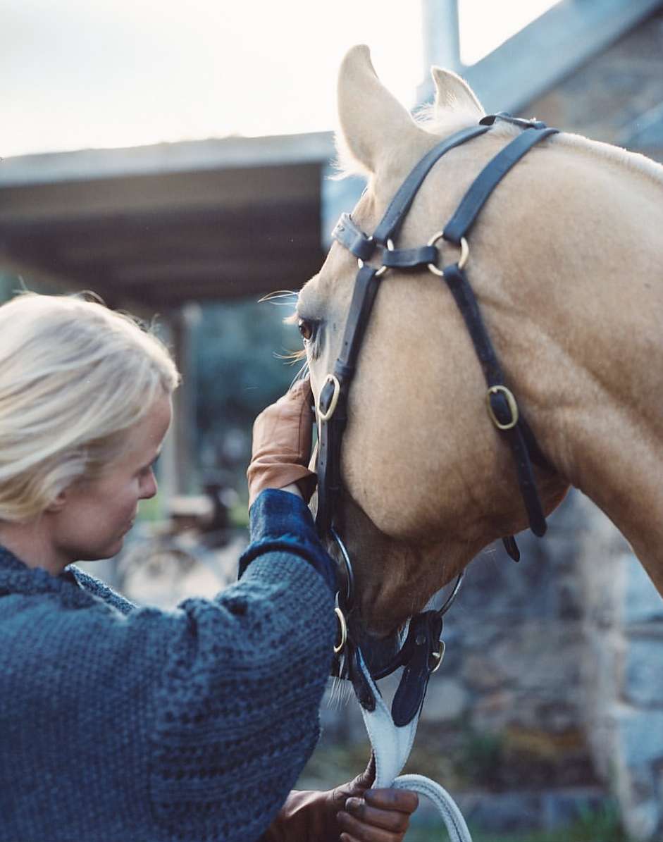 Blonde woman adjusts bridle on a light brown horse outdoors near a stone structure with a blue sweater and tan gloves.