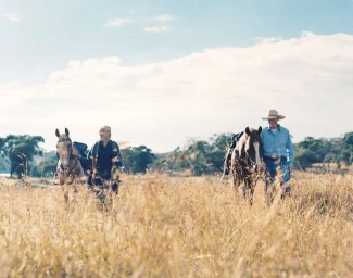 Man and woman walking through a tall grassy field while leading horses under an open sky