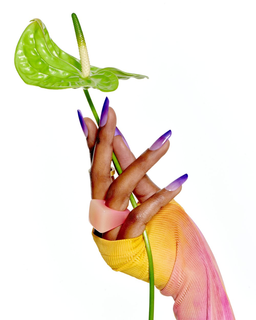 Close-up of a hand with purple ombre nails holding a green Anthurium flower against a white background in a studio setting.