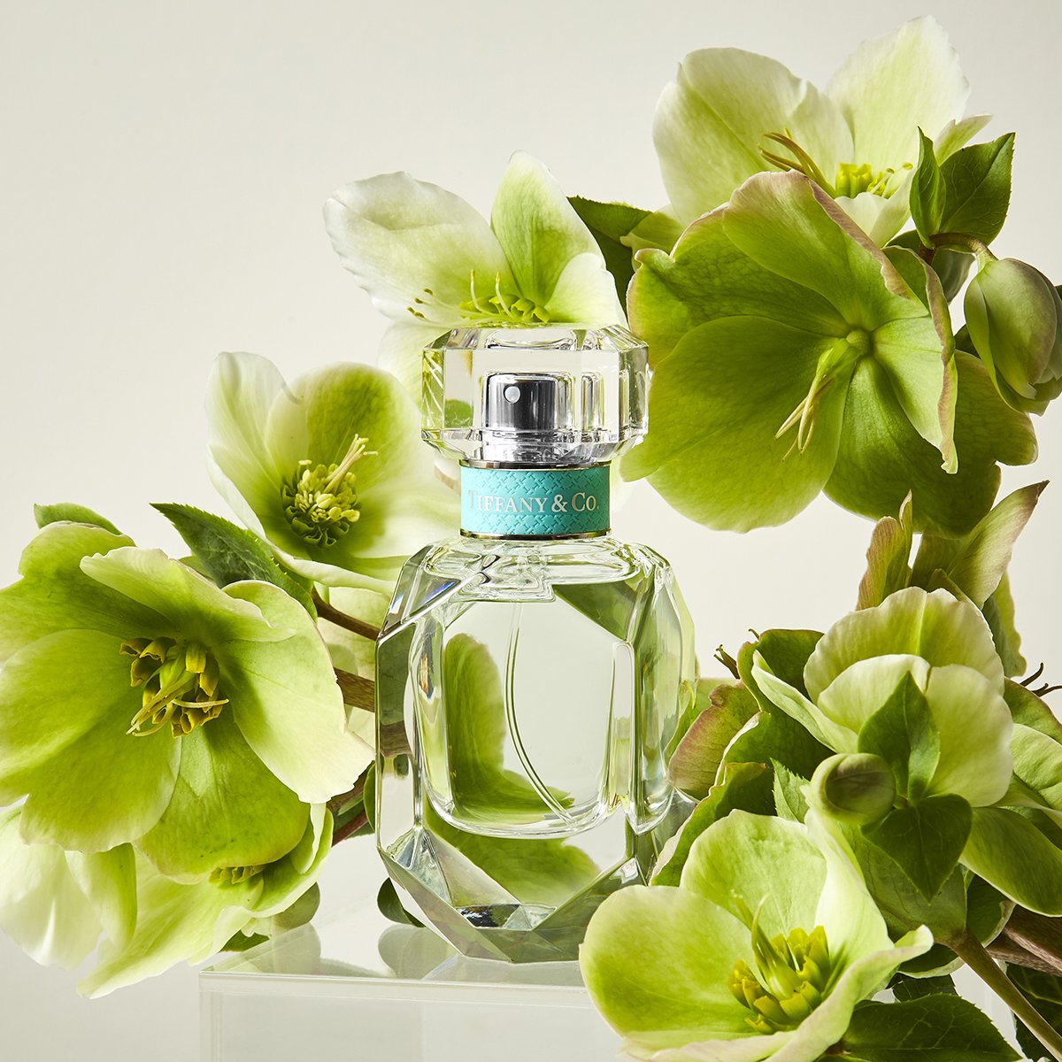 Close-up of a Tiffany & Co. perfume bottle surrounded by white hellebore flowers, showcasing luxury and floral notes, indoors.