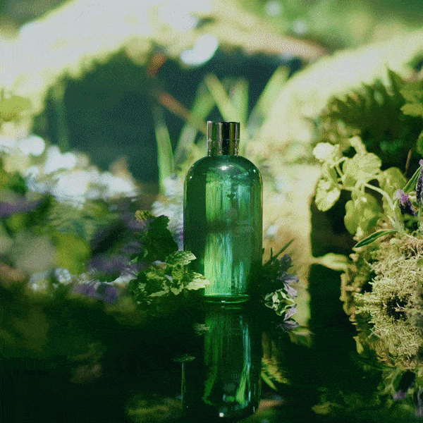 Green glass bottle with a silver cap, centered among lush greenery and flora on a reflective black surface.