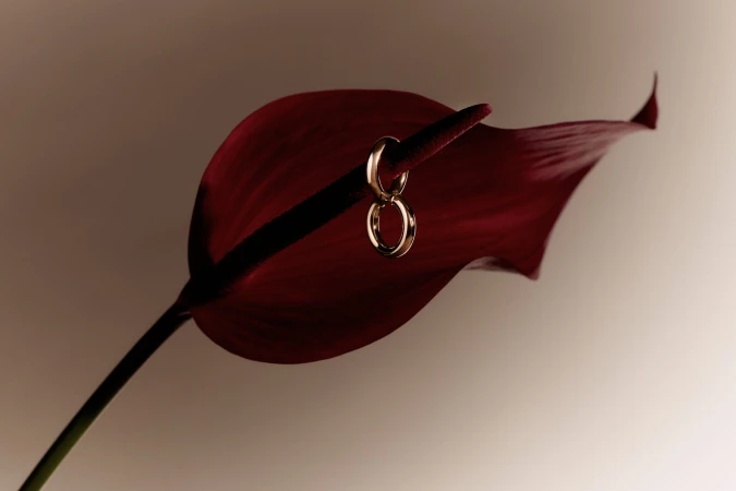 Earrings hang on anthurium flower. The flower has a dark red, heart-shaped spathe and stem. Warm, soft lighting.