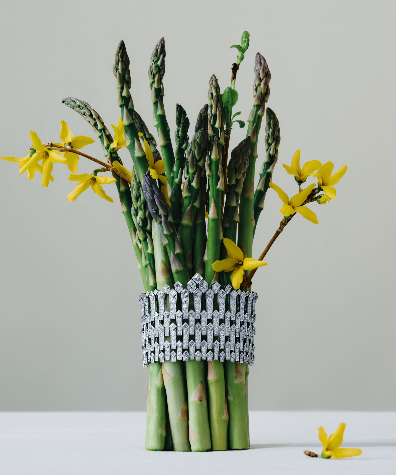 Close-up studio shot of fresh green asparagus stalks bundled together with a diamond bracelet and decorated with yellow forsythia blossoms.
