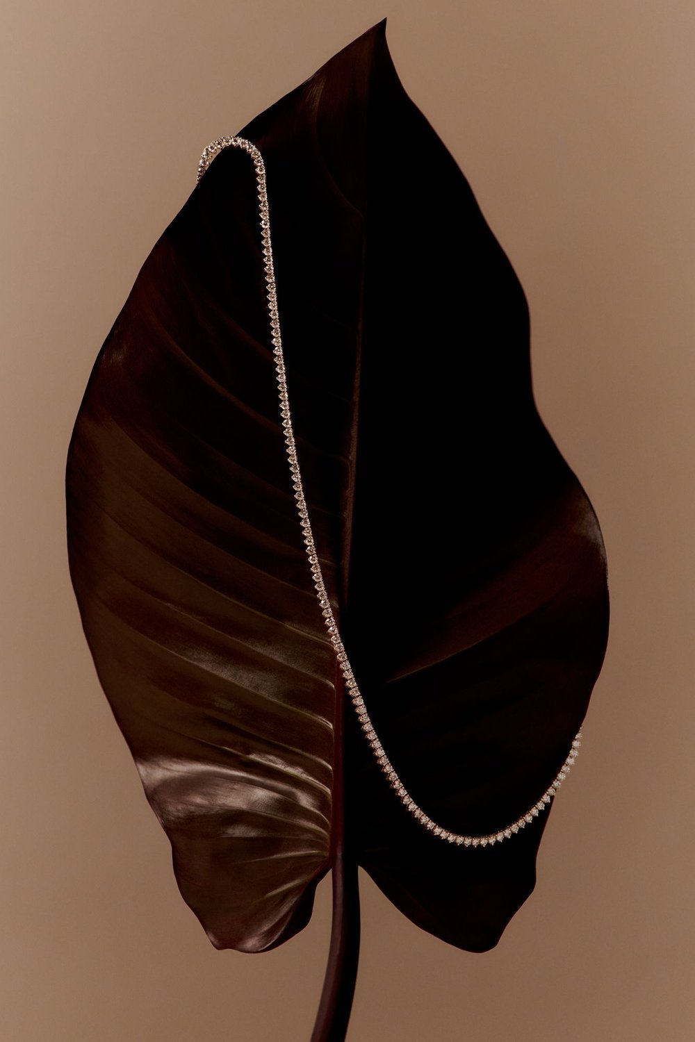 Elegant diamond tennis necklace draped on a large, dark leaf against a neutral background, highlighting beauty and luxury.