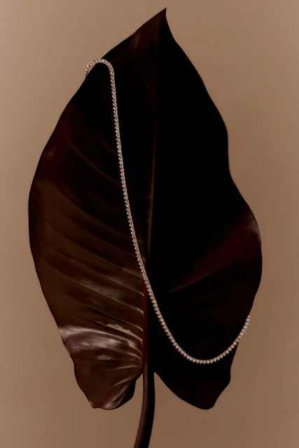 Elegant diamond tennis necklace draped on a large, dark leaf against a neutral background, highlighting beauty and luxury.