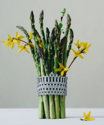 A bundle of green asparagus stalks wrapped with a diamond band and accented with yellow forsythia blossoms