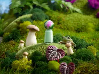 A pastel green bottle stands upright among moss, small mushrooms, and a small frog in a woodland set design.