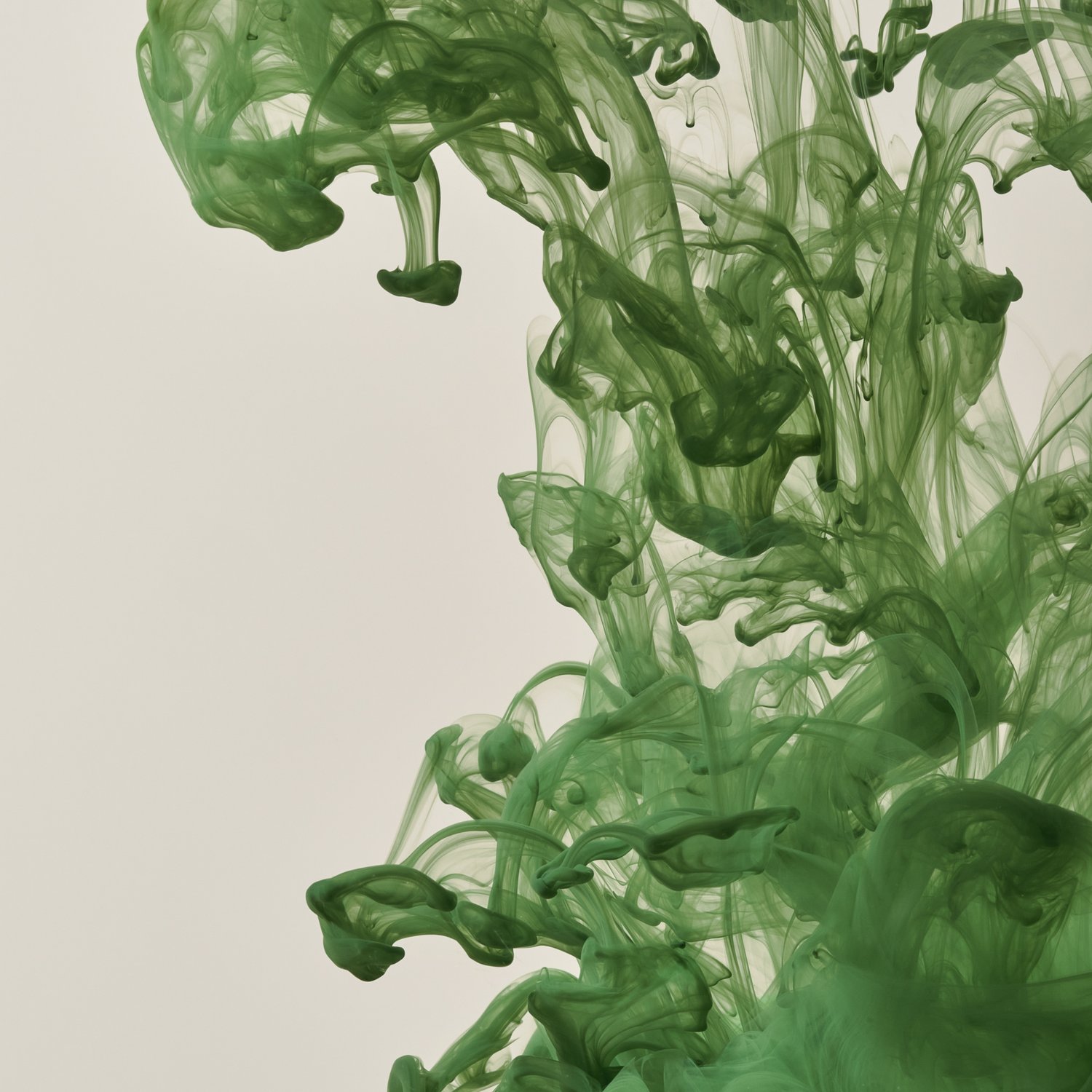 Abstract image featuring green ink swirling in liquid against a neutral background, creating a dynamic, fluid artistic composition.