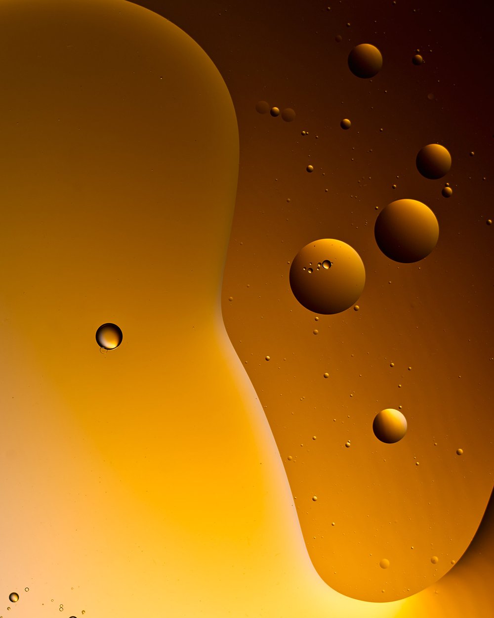 Abstract macro photograph of golden-colored oil and water mixture with bubbles and curved shapes against a dark amber background.