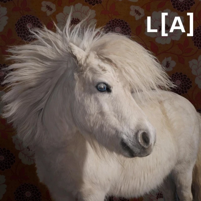 Close-up portrait of a white horse with a long mane, posing in front of a floral patterned background, emphasizing its striking blue eyes.