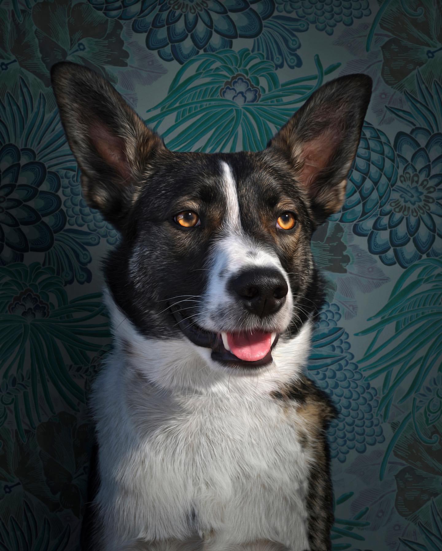 Portrait of a mixed-breed dog with white and dark brown fur, amber eyes, and large ears set against a floral patterned backdrop.