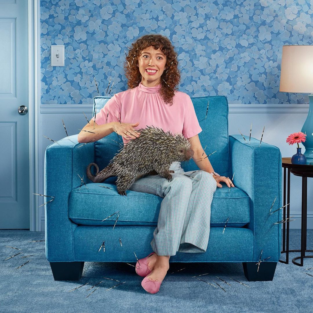 Woman sits with a North American porcupine on a blue armchair surrounded by quills. Light blue walls, indoor shot, medium framing.