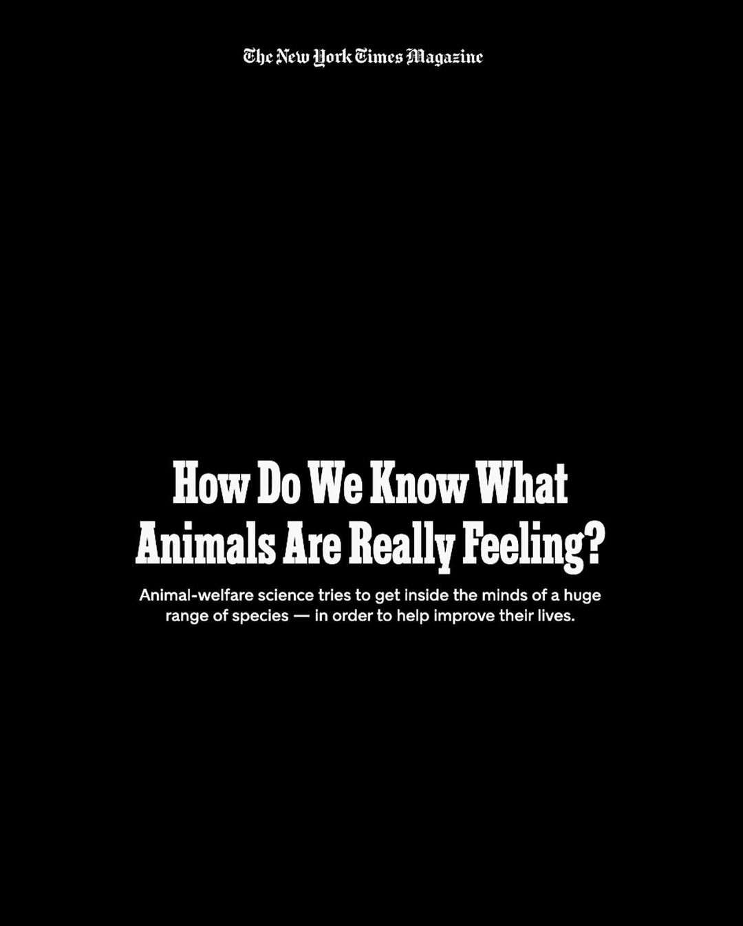 Magazine cover with the text 'How Do We Know What Animals Are Really Feeling?' in bold white letters over a black background.
