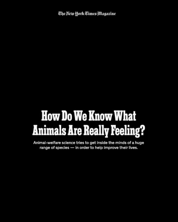 Magazine cover with the text 'How Do We Know What Animals Are Really Feeling?' in bold white letters over a black background.
