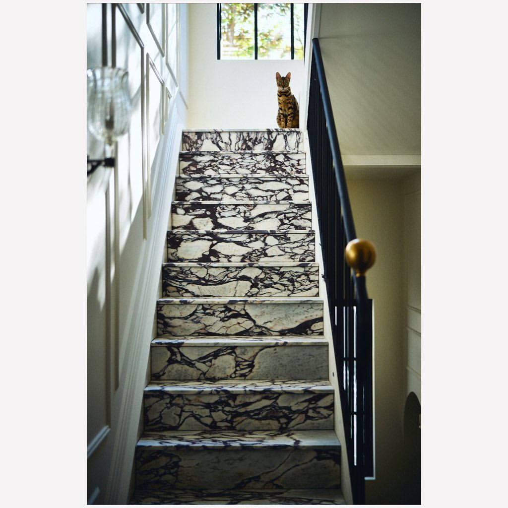 A cat sits at the top of a black-and-white marble staircase with a black metal railing, bathed in soft, natural light.