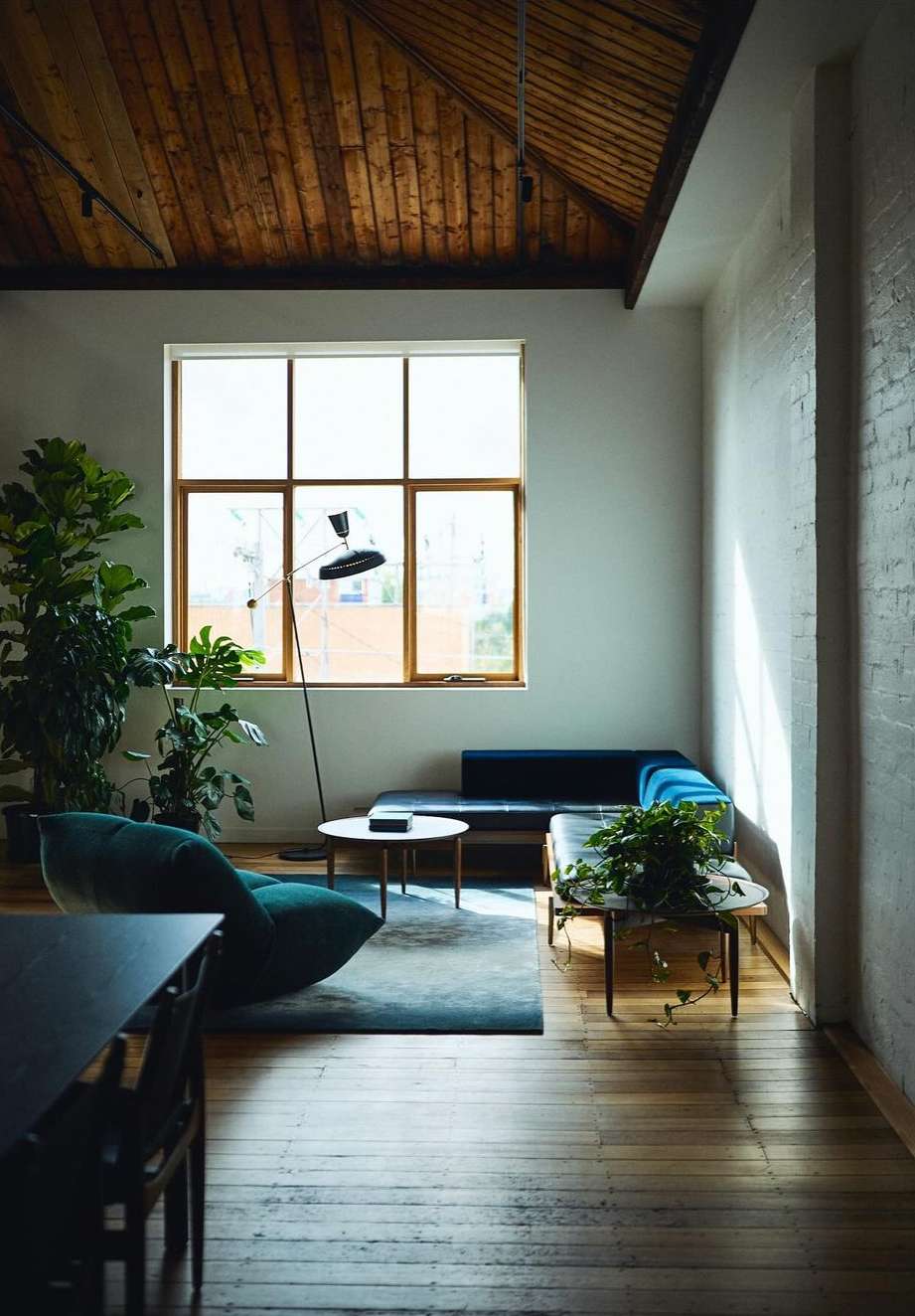 Living room interior with a blue sofa, accent chair, potted plants, and a large window providing natural light in a cozy home.