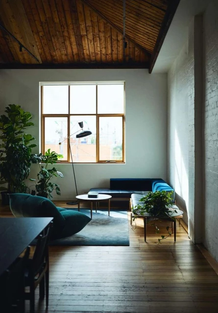 Living room interior with a blue sofa, accent chair, potted plants, and a large window providing natural light in a cozy home.