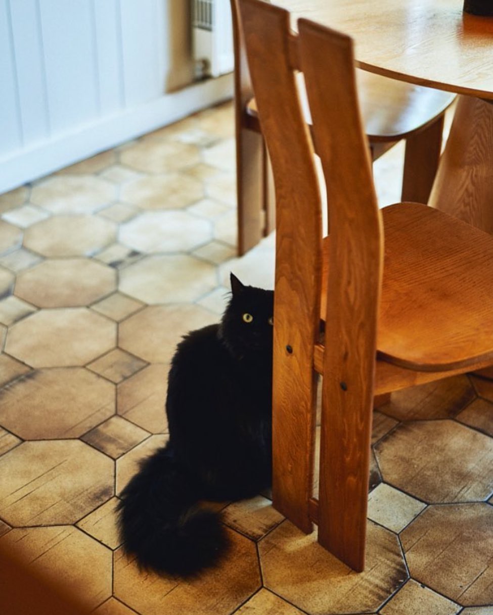 A black domestic cat is partially hidden behind a wood chair with golden eyes in a cozy indoor setting with patterned floor tiles.
