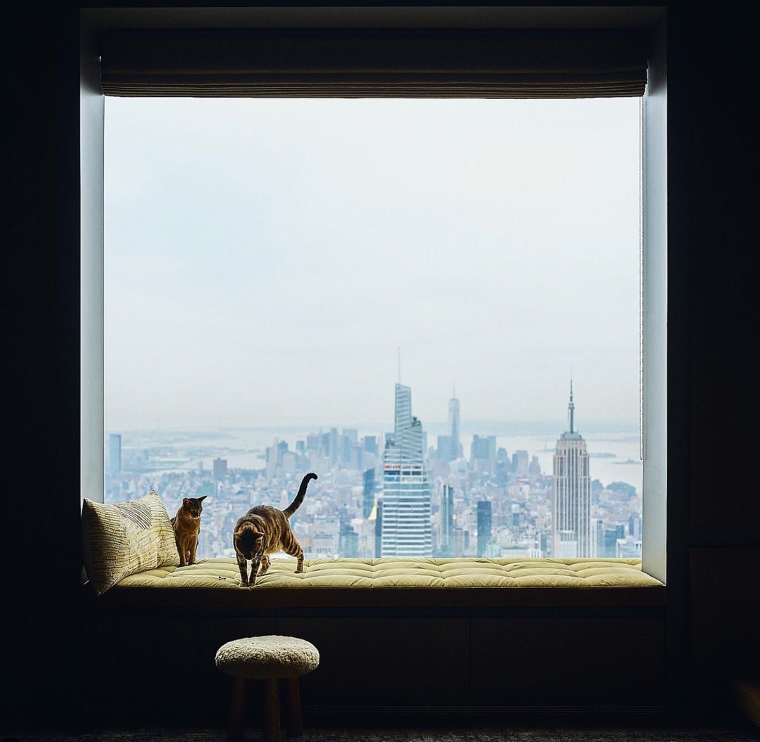 Two cats lounge on a window seat, framed against the New York City skyline with the Empire State Building, offering a serene view.