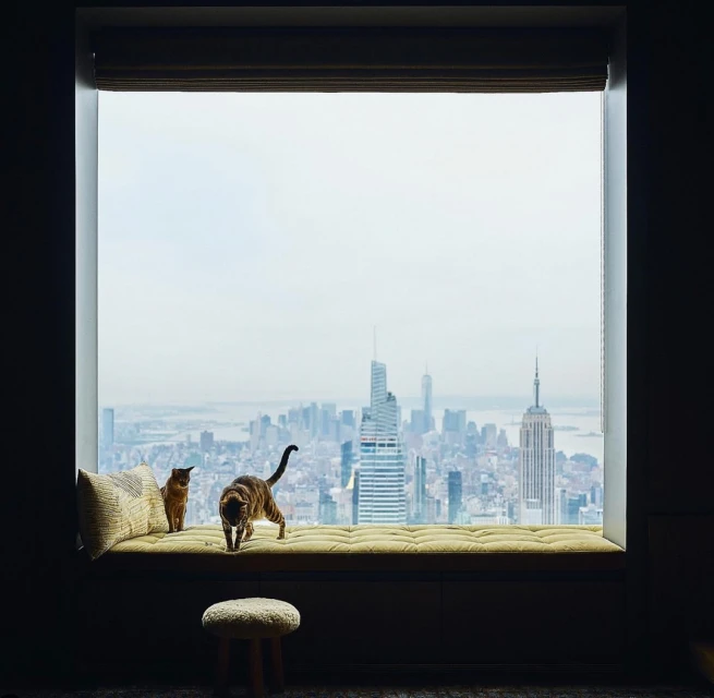 Two cats lounge on a window seat, framed against the New York City skyline with the Empire State Building, offering a serene view.