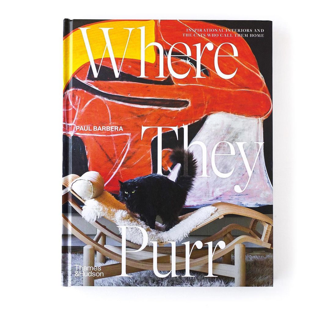 Book cover featuring a black cat perched on a wooden rocking chair, with an abstract painting in the background, creating a stylish interior design.