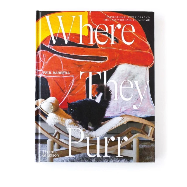 Book cover featuring a black cat perched on a wooden rocking chair, with an abstract painting in the background, creating a stylish interior design.