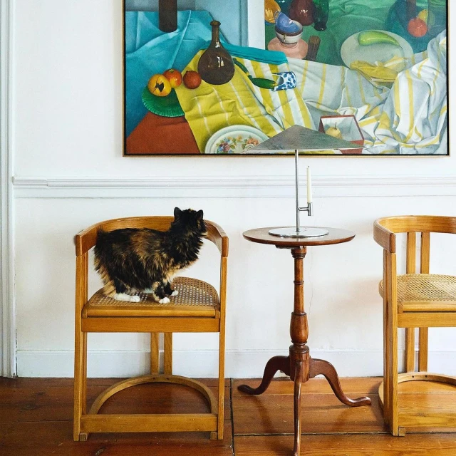 A tortoiseshell cat stands on a wooden chair in a light-filled room with a round side table, parquet floors, and artwork on the wall.