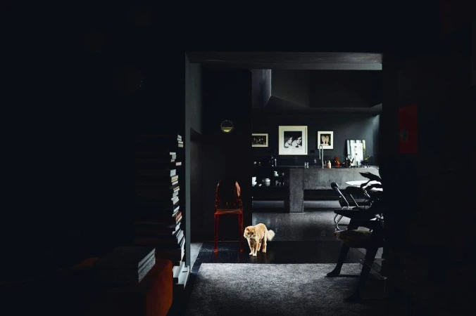 Interior view of modern kitchen and hallway in monochrome shades with a small dog standing near a partially visible bookshelf.