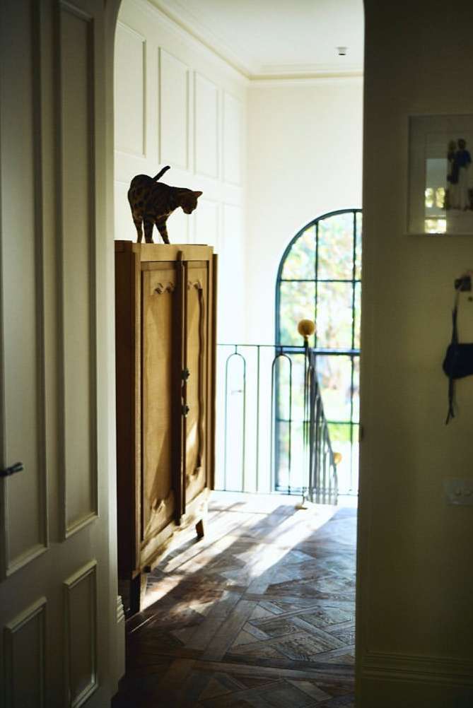 A cat stands atop a wooden cabinet in an interior hallway, with light shining on the patterned floor and arched window in the background.