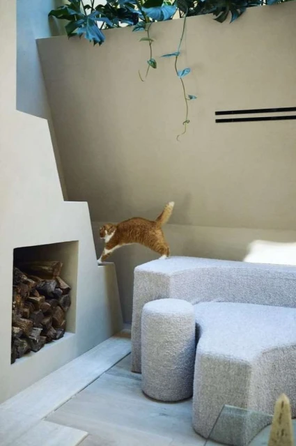 An orange and white cat leaps from a ledge next to a pile of logs, in a modern indoor space with neutral colors and geometric designs.