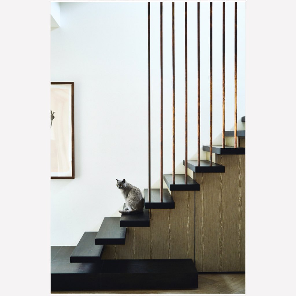 A grey cat sits on a black staircase, looking up with an alert expression, inside a modern interior with artwork on the wall.