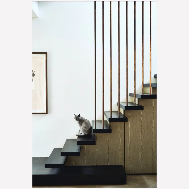 A grey cat sits on a black staircase, looking up with an alert expression, inside a modern interior with artwork on the wall.